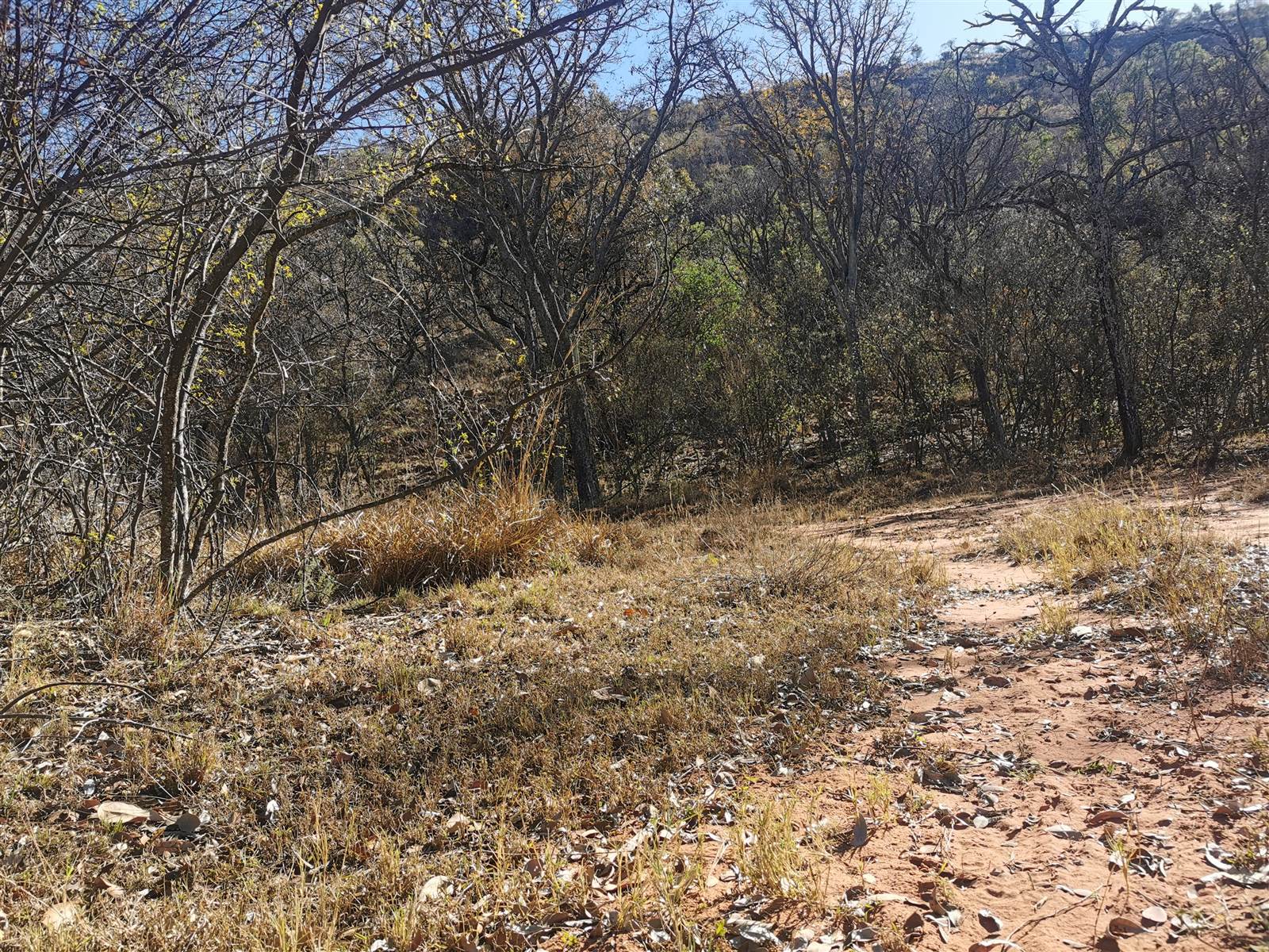 500 m² Land available in Modimolle photo number 5