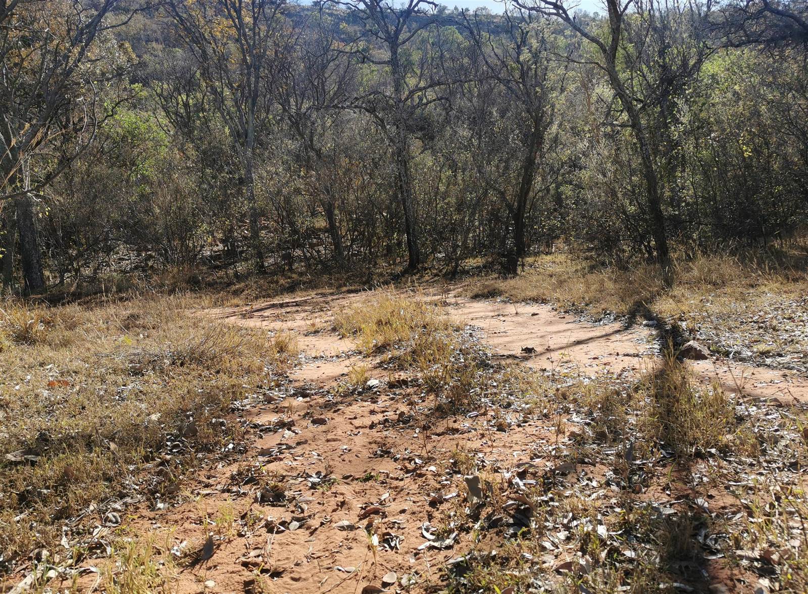 500 m² Land available in Modimolle photo number 4