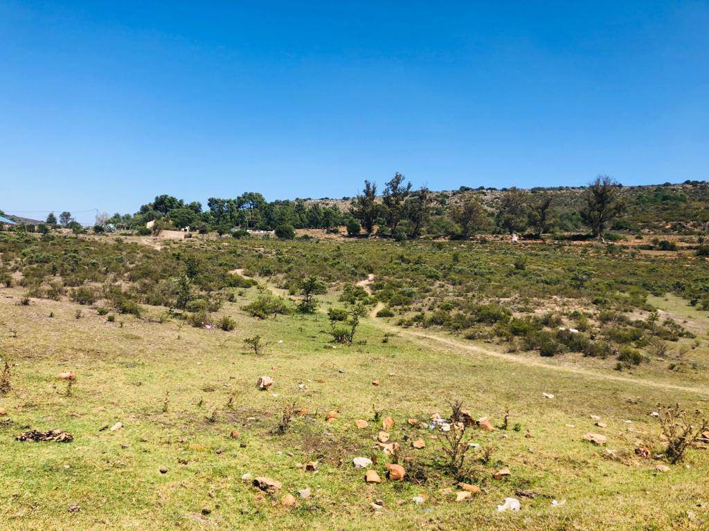 6300 m² Land available in Grahamstown Central photo number 5