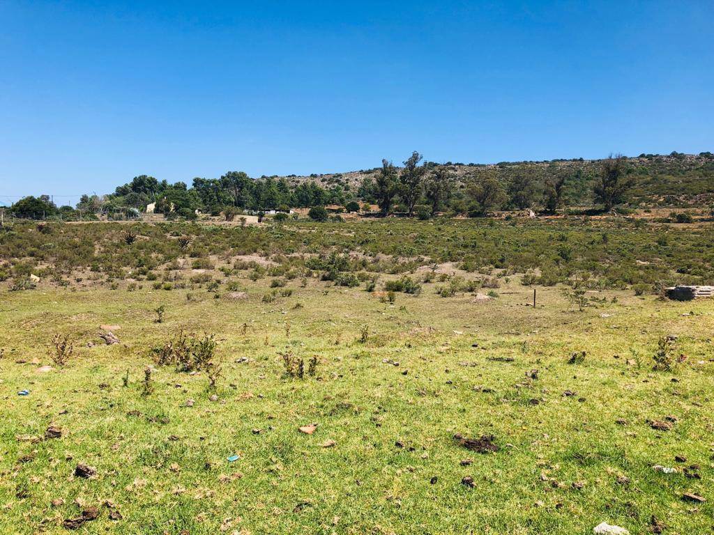 6300 m² Land available in Grahamstown Central photo number 8