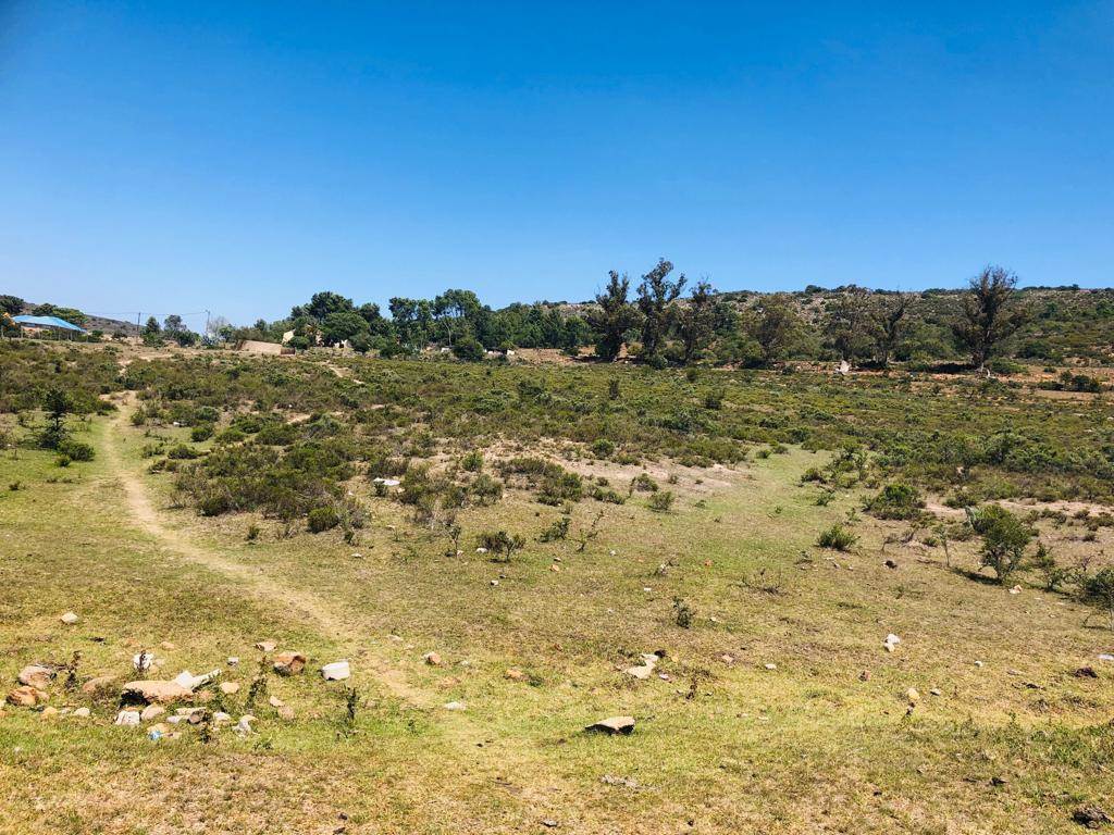 6300 m² Land available in Grahamstown Central photo number 9
