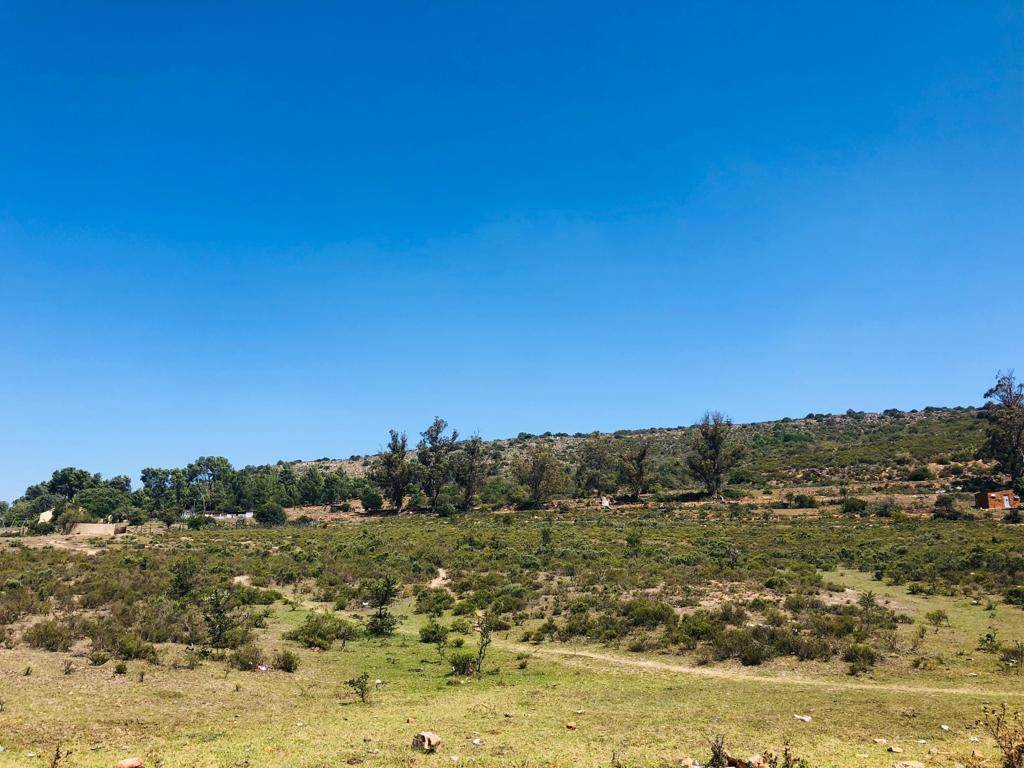 6300 m² Land available in Grahamstown Central photo number 4