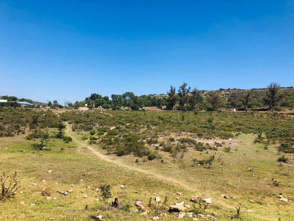 6300 m² Land available in Grahamstown Central photo number 6
