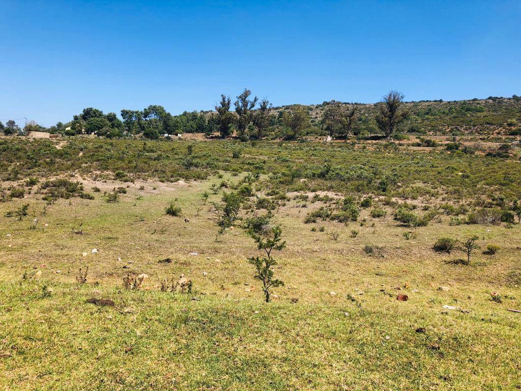 6300 m² Land available in Grahamstown Central photo number 7