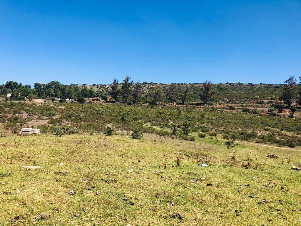 6300 m² Land available in Grahamstown Central photo number 3