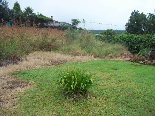 880 m² Land available in Sabie photo number 4