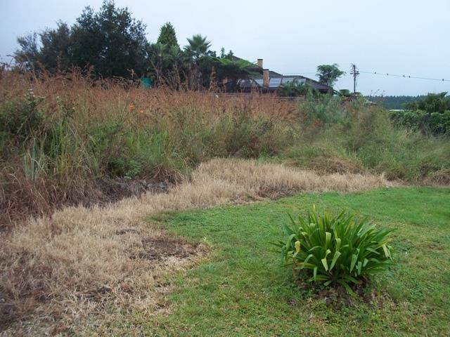 880 m² Land available in Sabie photo number 5