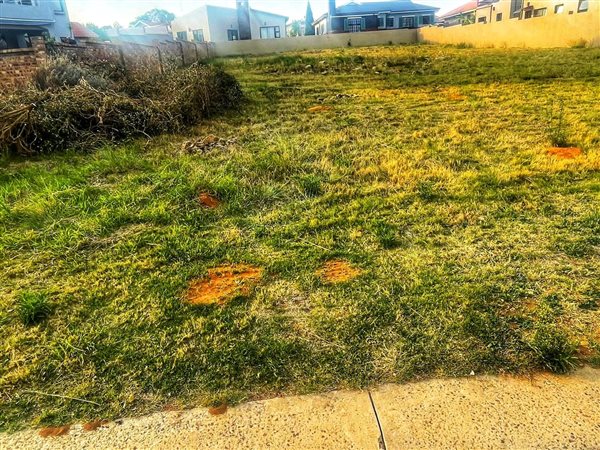 1 005 m² Land 1 005 m² Land