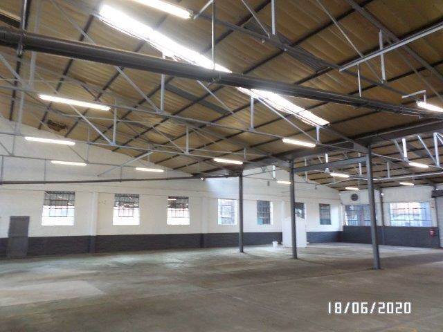 12258  m² Industrial space in Manufacta photo number 3
