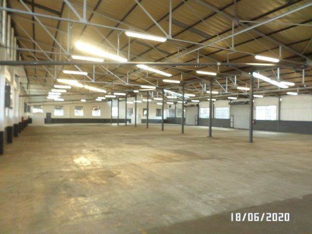 12258  m² Industrial space in Manufacta photo number 10
