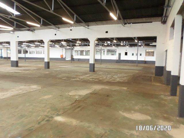 12258  m² Industrial space in Manufacta photo number 20