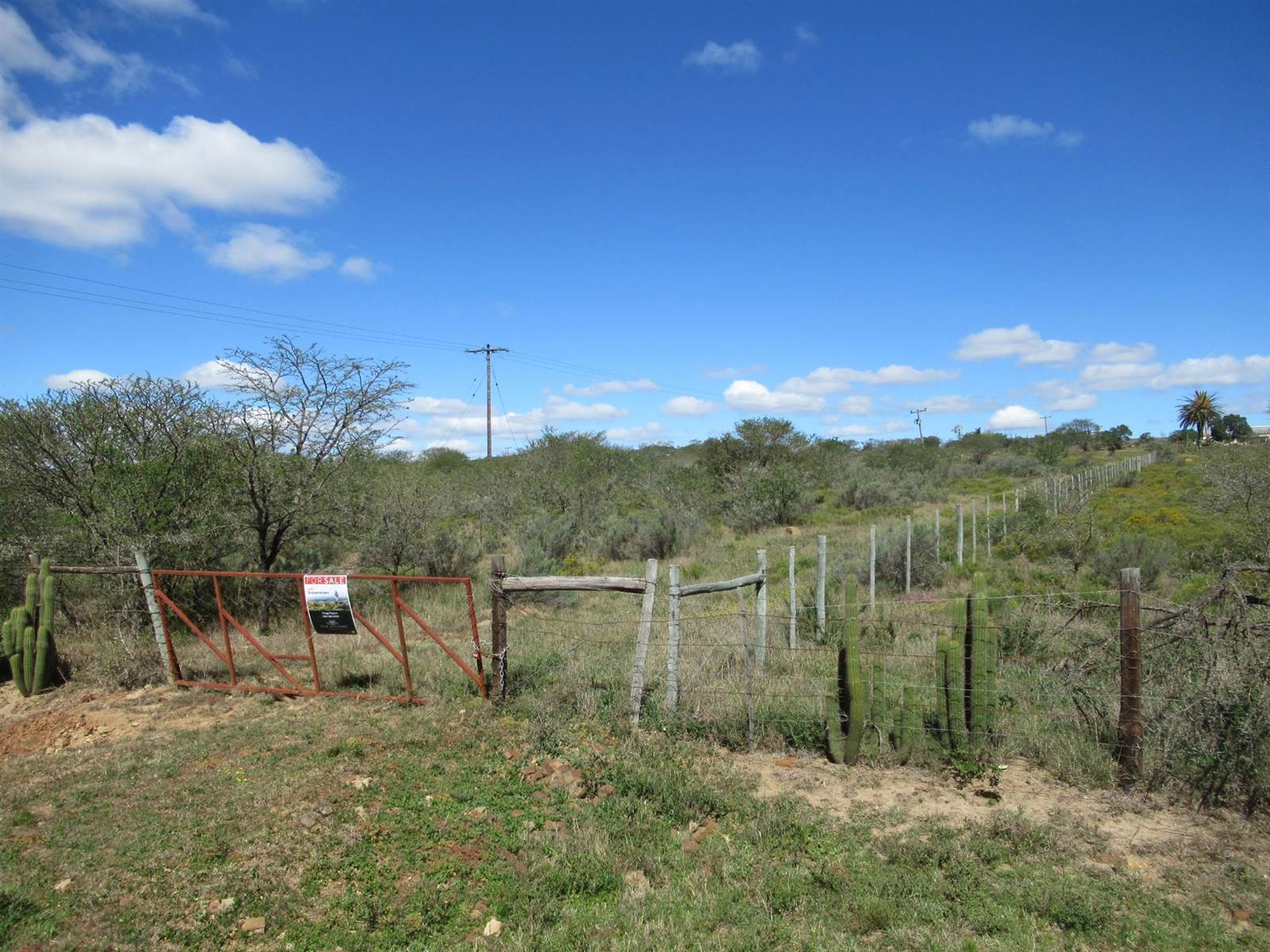 2.7 ha Land available in Riebeeck East photo number 7