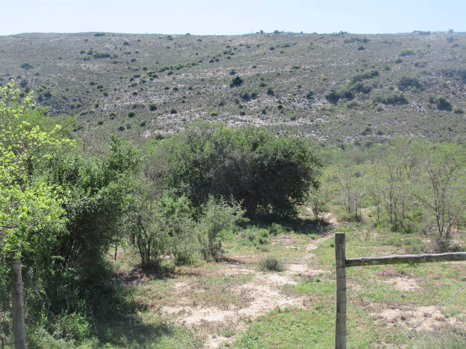 2.7 ha Land available in Riebeeck East photo number 4