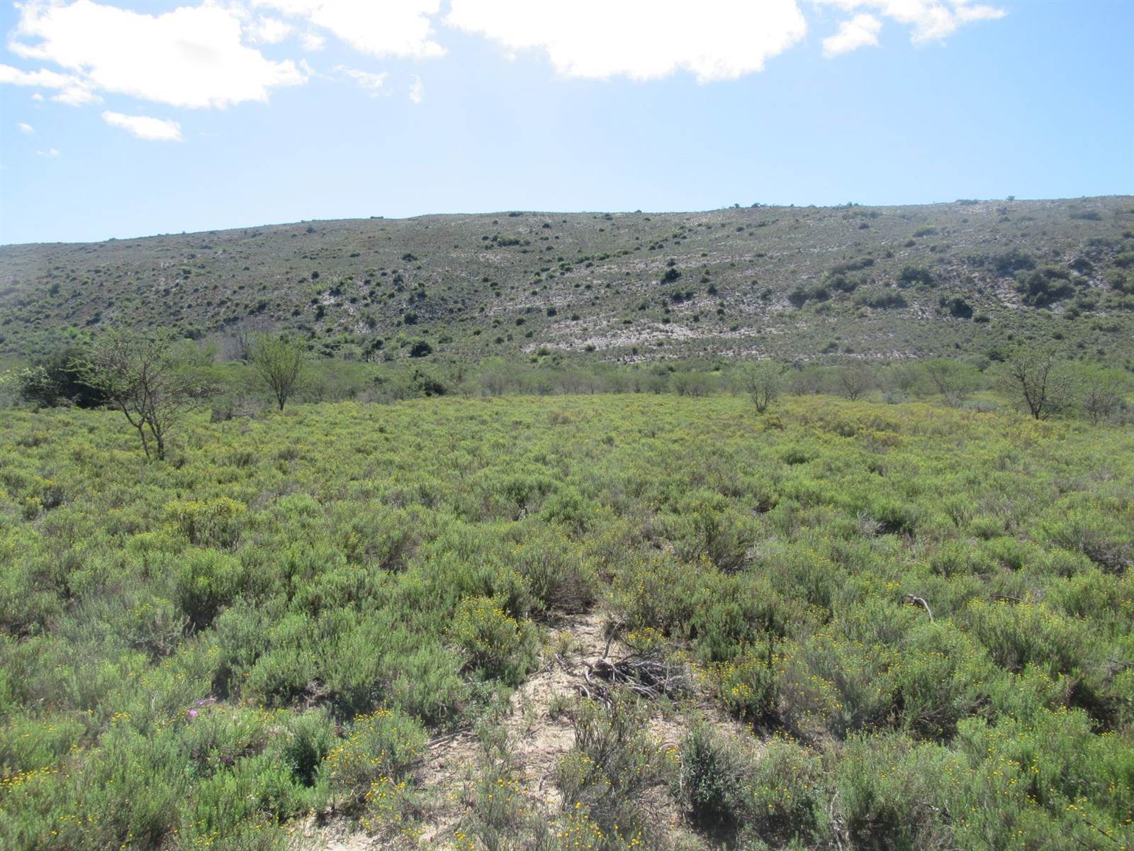 2.7 ha Land available in Riebeeck East photo number 8