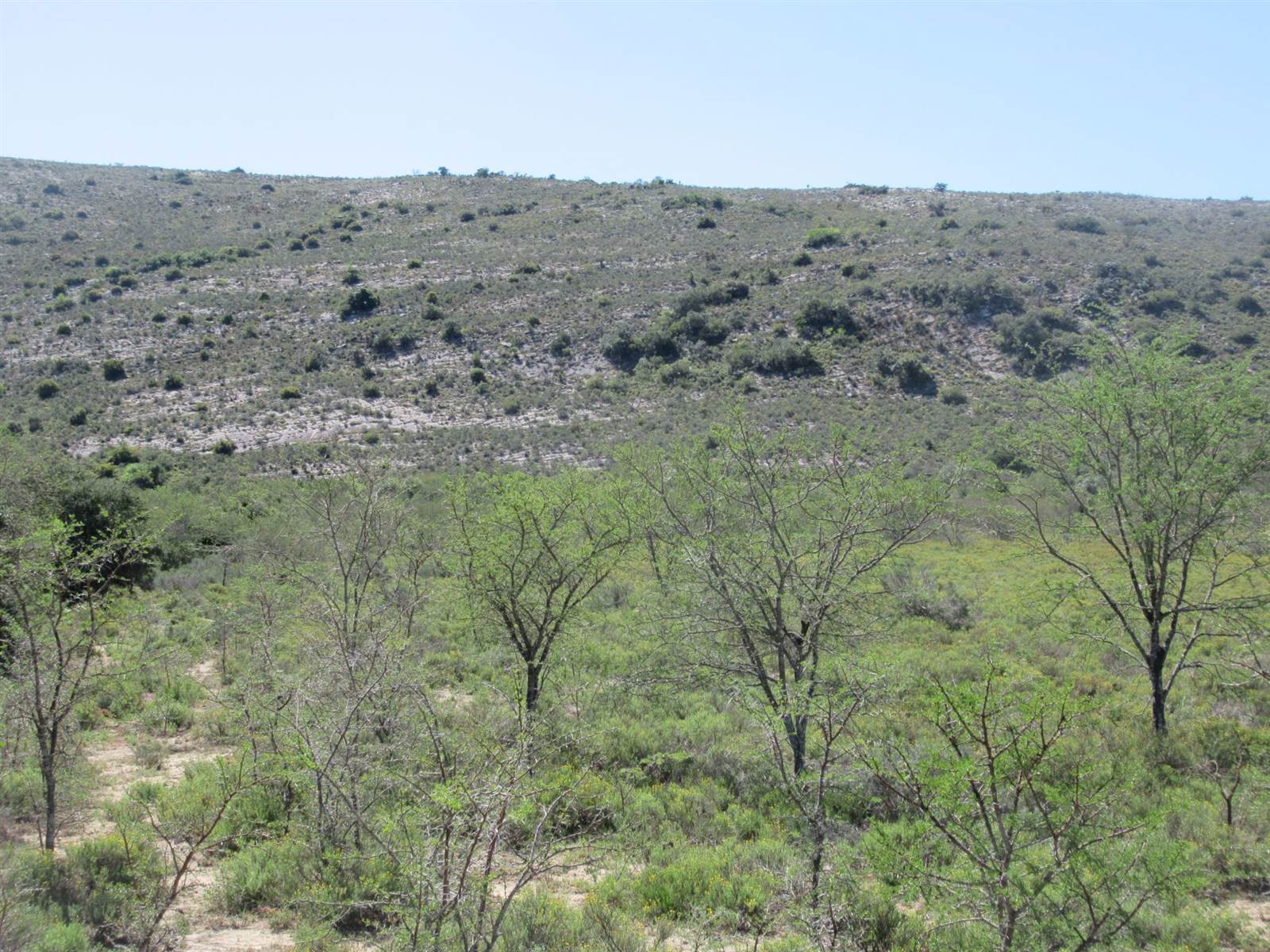 2.7 ha Land available in Riebeeck East photo number 5