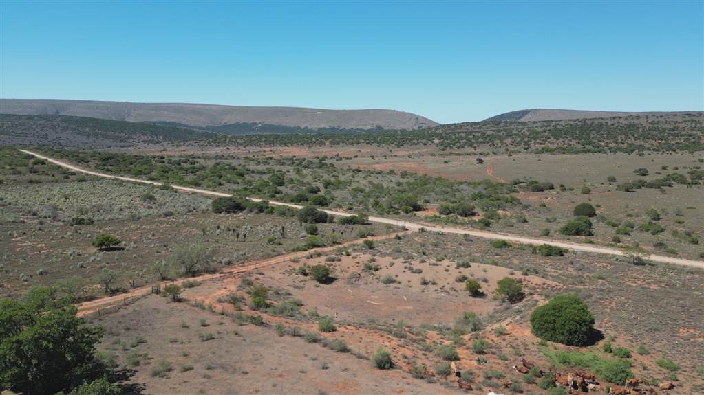 1026 ha Farm in Grahamstown Central photo number 4