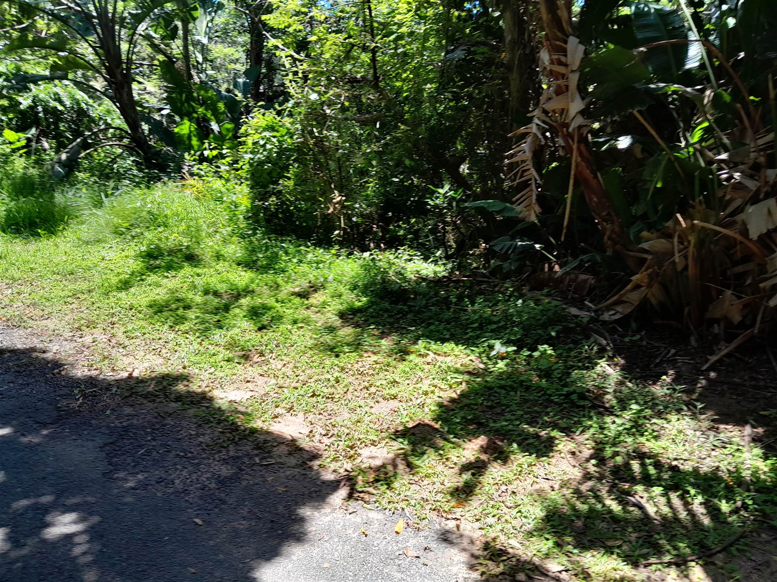 3593 m² Land available in Bazley Beach photo number 14