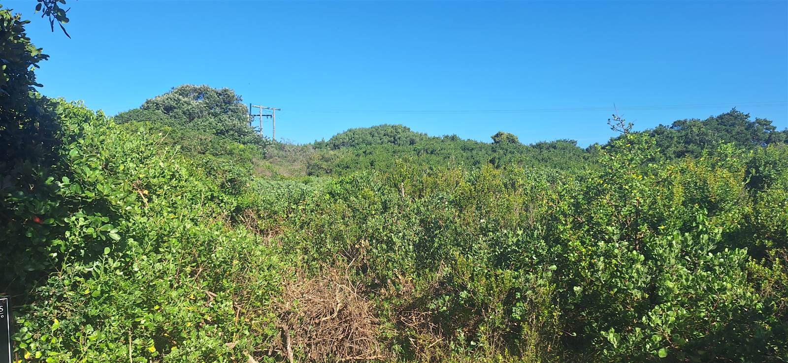 869 m² Land available in Cannon Rocks photo number 5