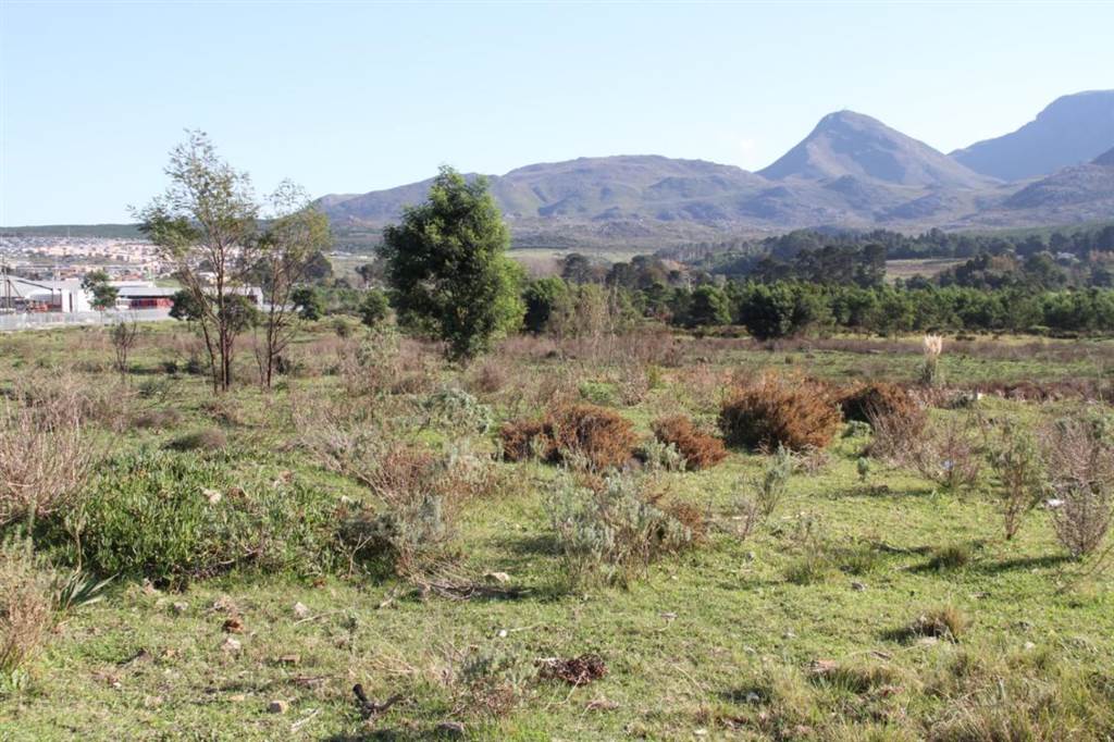 5.8 ha Land available in Grabouw photo number 6