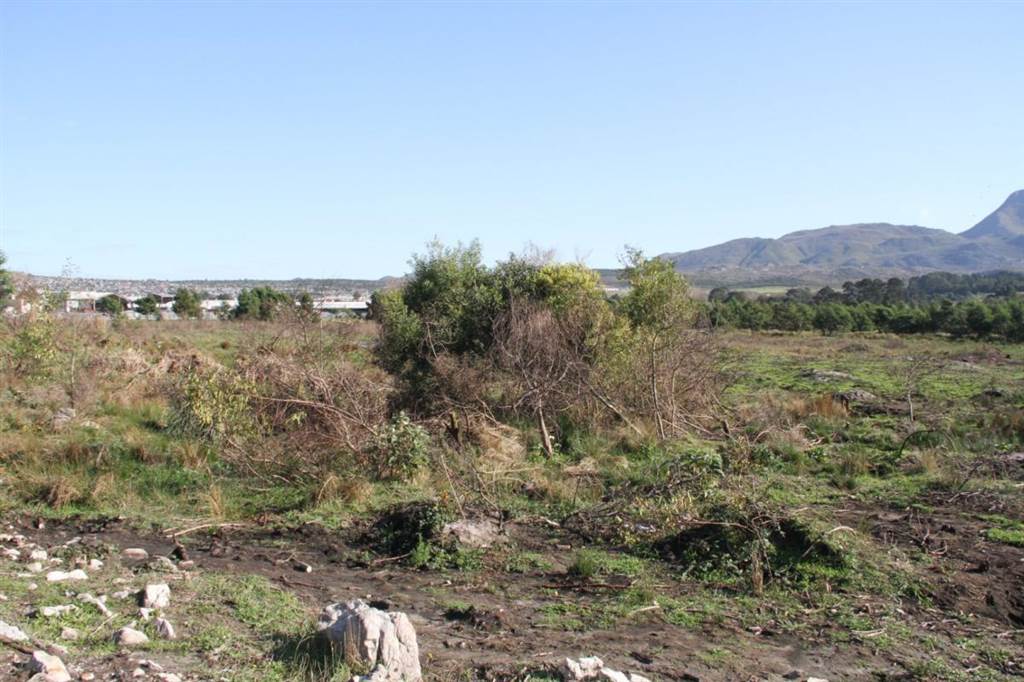 5.8 ha Land available in Grabouw photo number 14