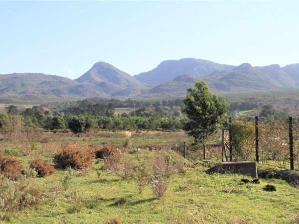 5.8 ha Land available in Grabouw