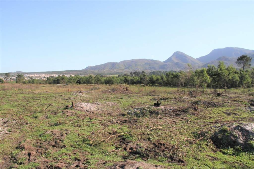 5.8 ha Land available in Grabouw photo number 7