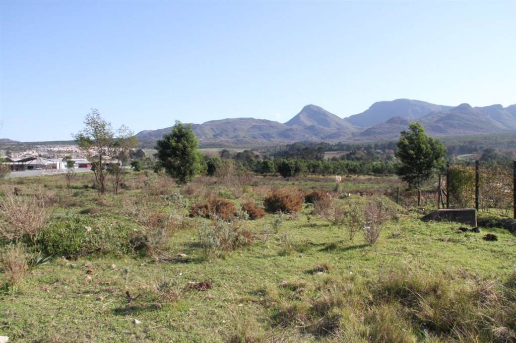 5.8 ha Land available in Grabouw photo number 2