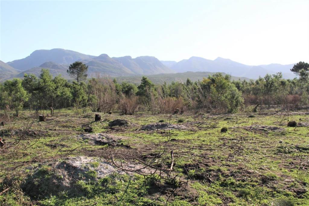 5.8 ha Land available in Grabouw photo number 3