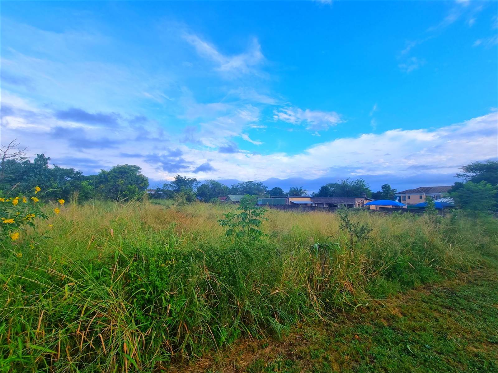 2865 m² Land available in Louis Trichardt photo number 1