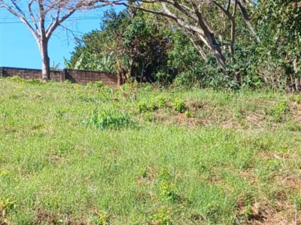 1 060 m² Land