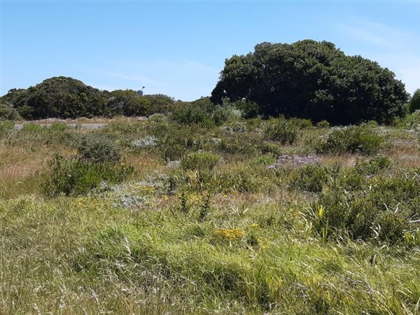 787 m² Land available in Franskraal