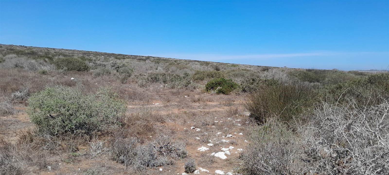2.8 ha Land available in Jacobsbaai photo number 2