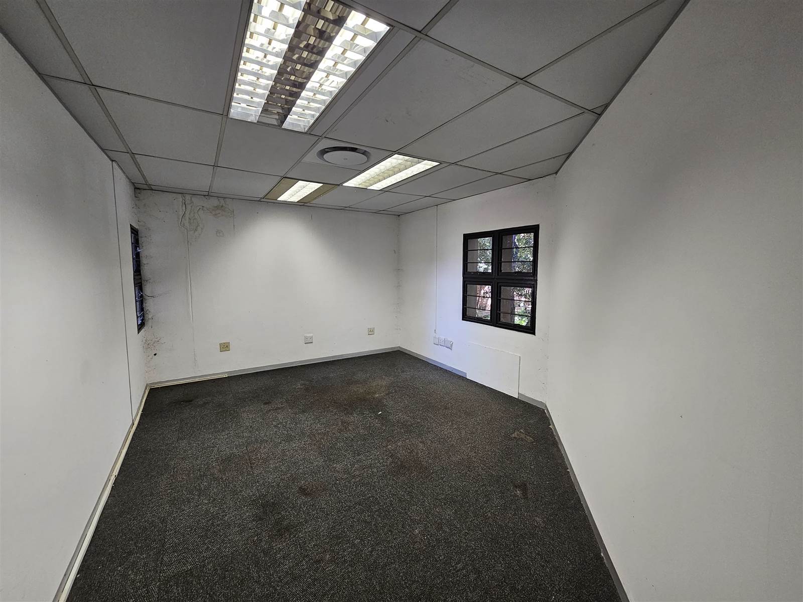 157  m² Commercial space in Die Hoewes photo number 12