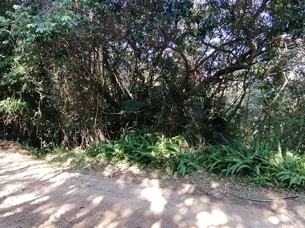 1069 m² Land available in Leisure Bay
