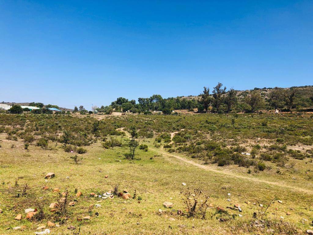 6725 m² Land available in Grahamstown Central photo number 6