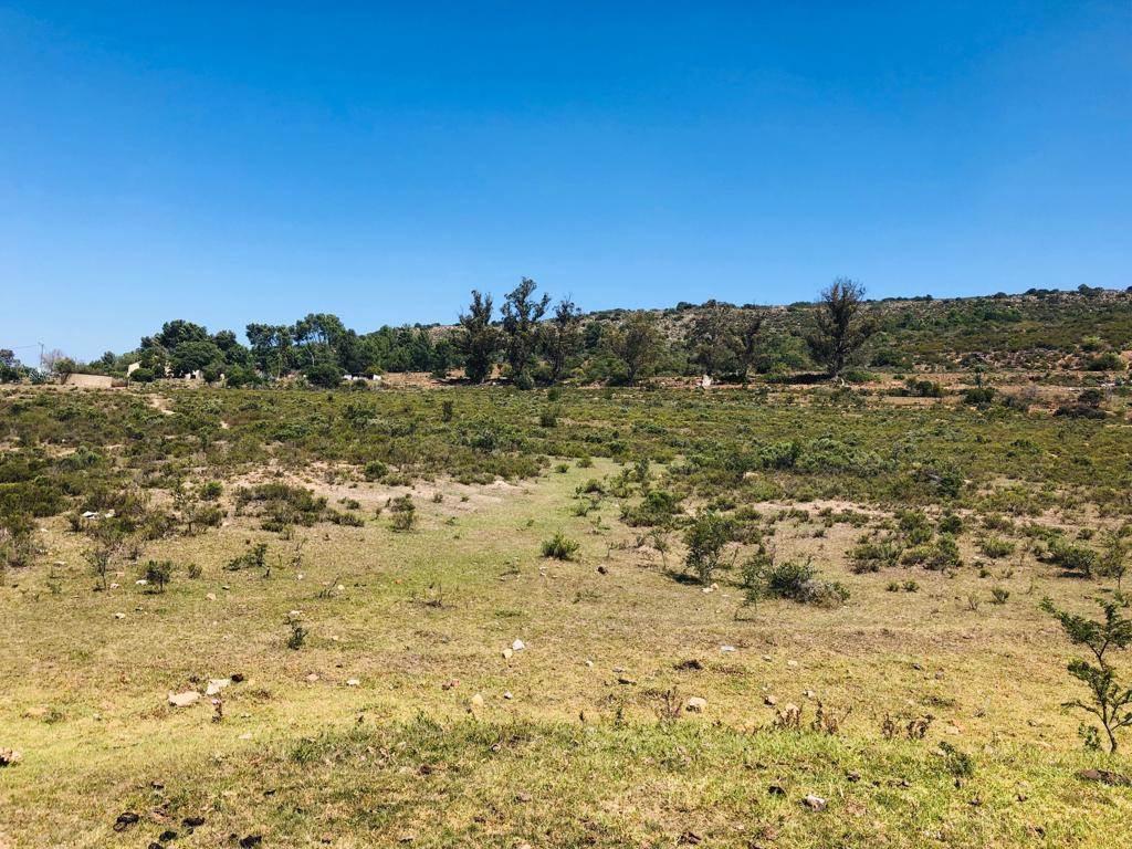 6725 m² Land available in Grahamstown Central photo number 7