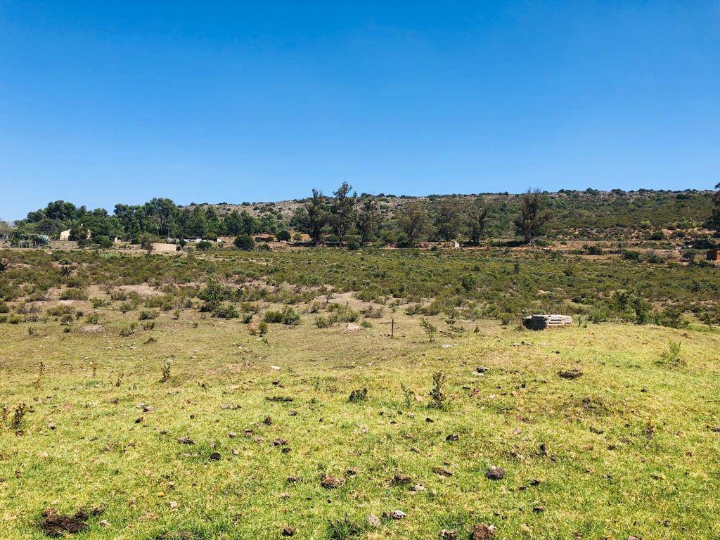 6725 m² Land available in Grahamstown Central photo number 8