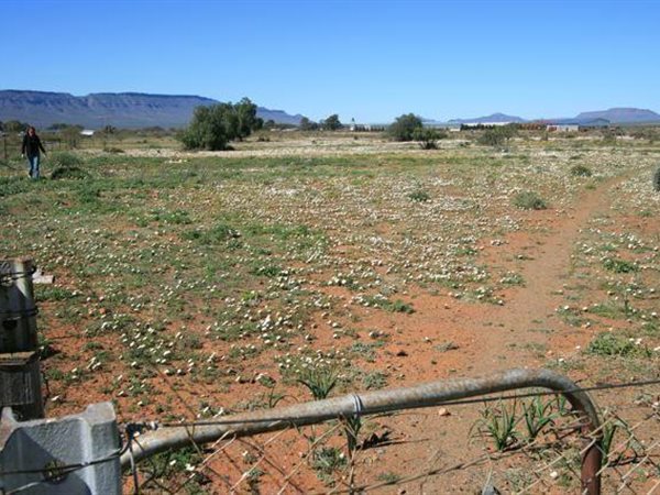 1.6 ha Land available in Calvinia