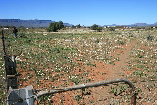 1.6 ha Land available in Calvinia photo number 1