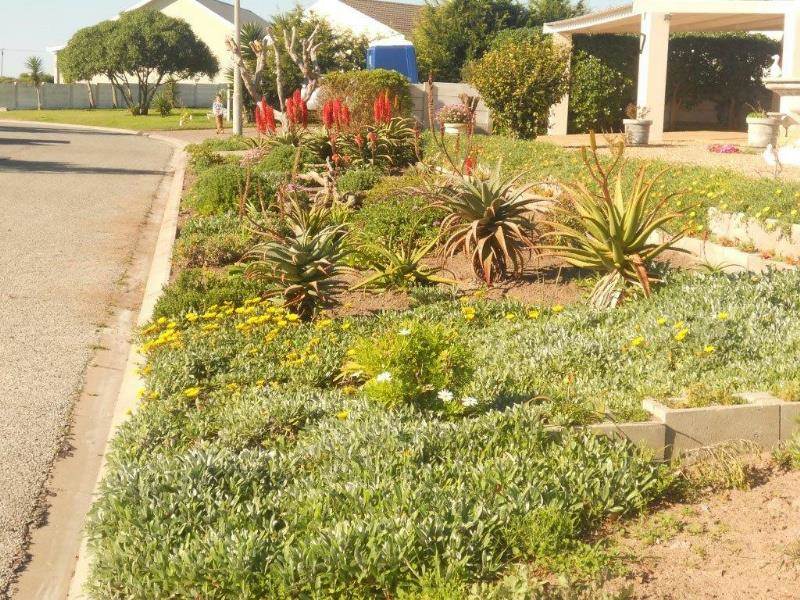 964 m² Land available in Yzerfontein photo number 3
