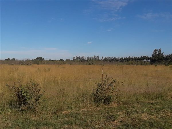 8 ha Land available in Louis Trichardt