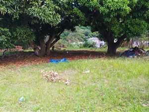 1015 m² Land available in Oaklands
