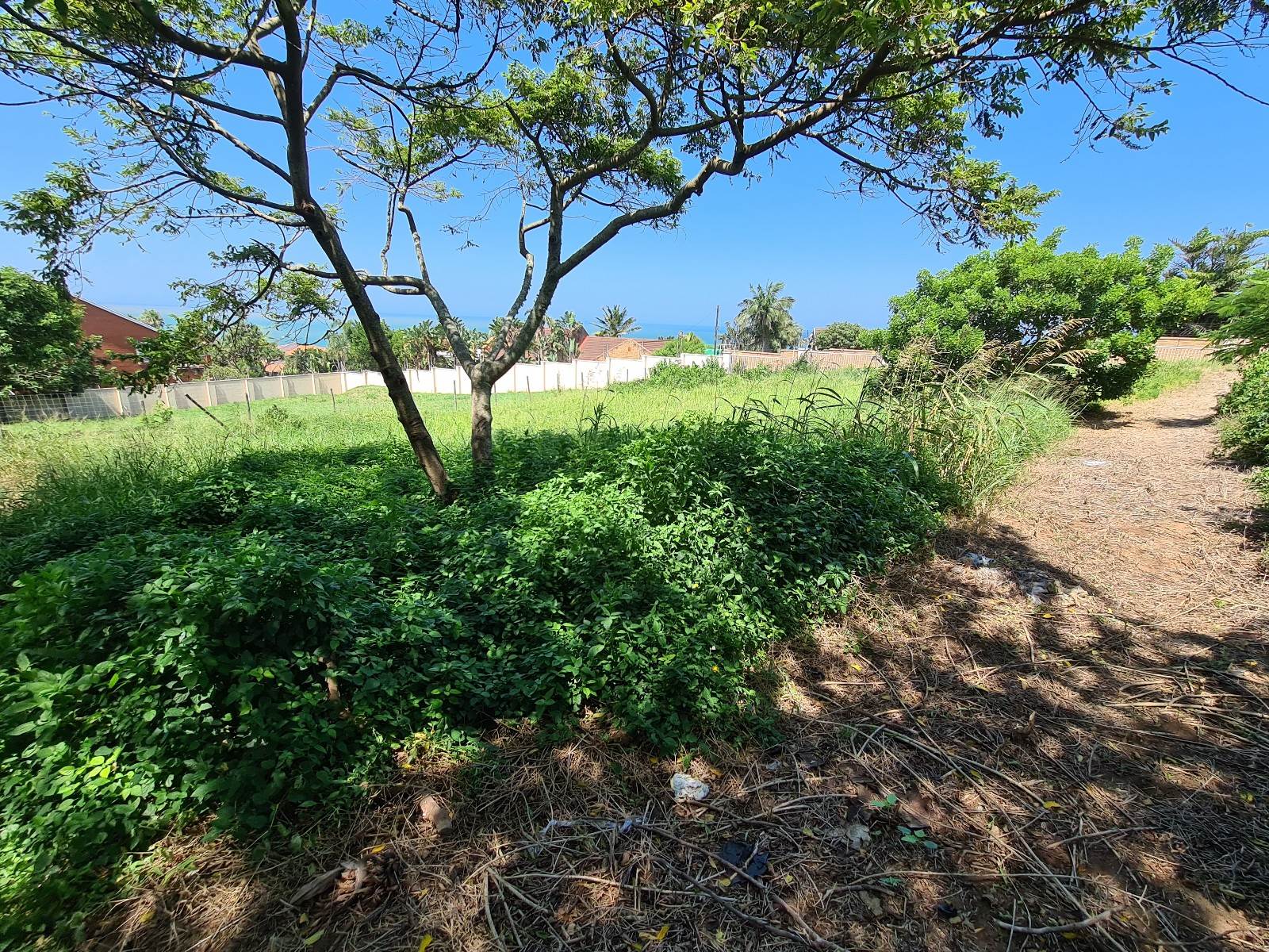 1167 m² Land available in Zinkwazi Beach photo number 7