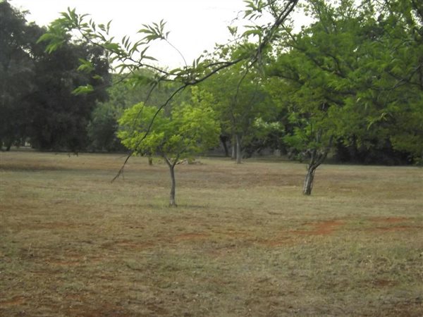 1.1 ha Land available in Kanonkop