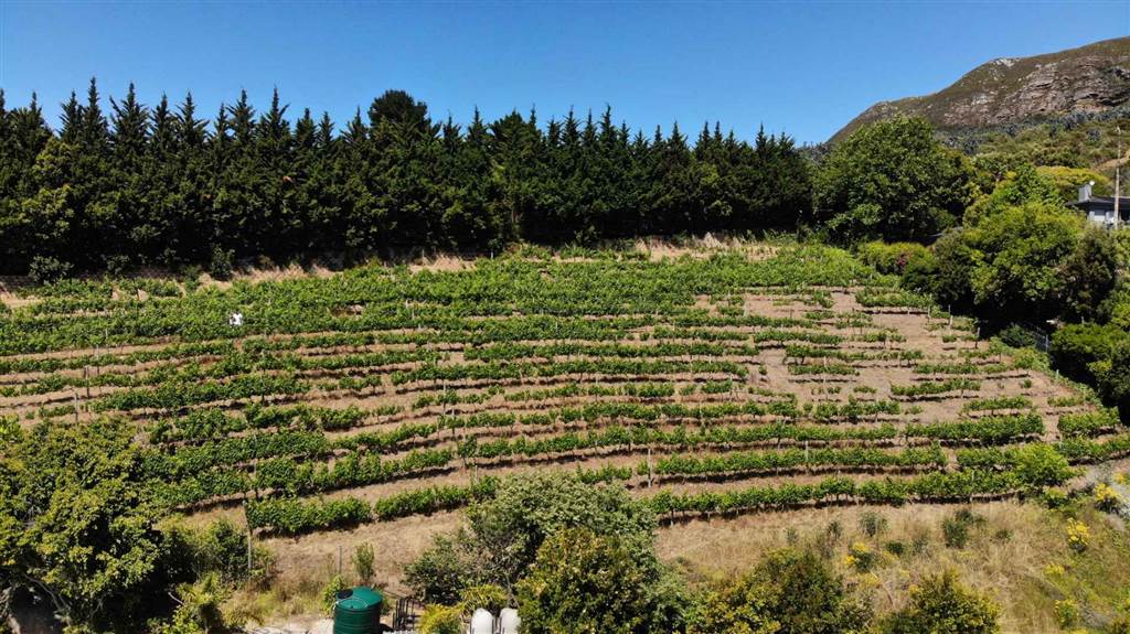 4081 m² Land available in Constantia photo number 14
