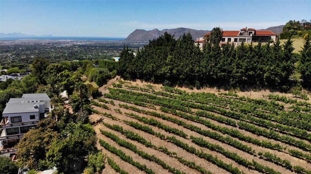 4081 m² Land available in Constantia photo number 1