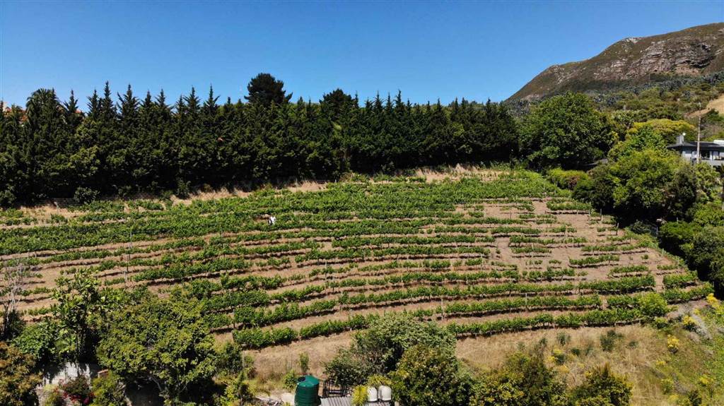 4081 m² Land available in Constantia photo number 16