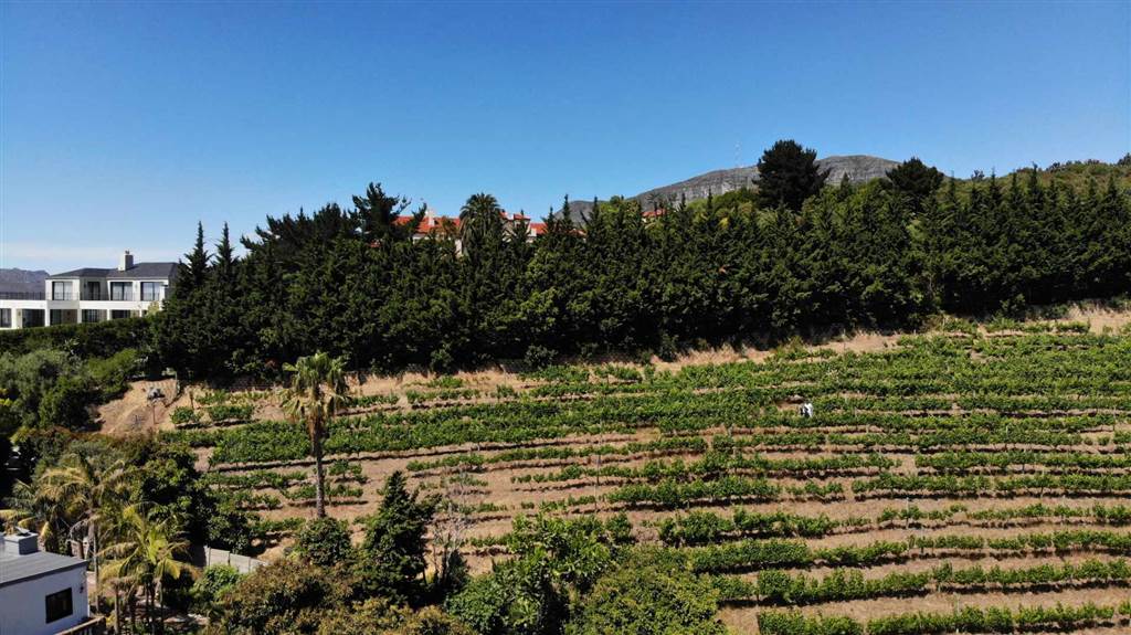 4081 m² Land available in Constantia photo number 17