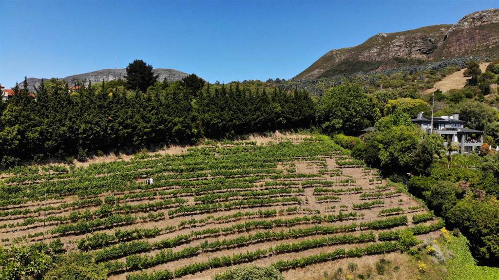 4081 m² Land available in Constantia photo number 13