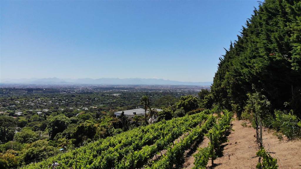 4081 m² Land available in Constantia photo number 12